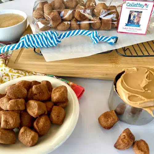 Lulu’s Tasty Treats Dog Biscuit